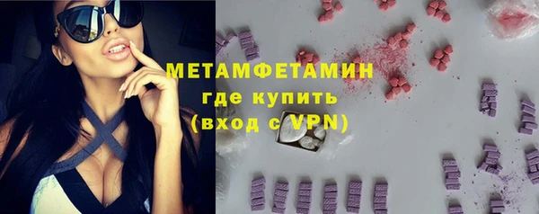 прущие грибы Бронницы